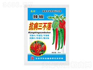 ��������������-ʢ��-ʥ��ʘI(y��)