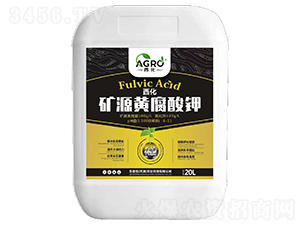 �����VԴ�S�����-������