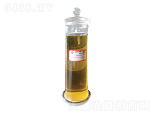 ���䌣�þۦ�-�Ȱ�����������Ԫ��-�пƾ�Դ