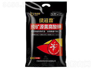 ���VԴ�S�����-�G����