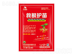 ��������ˮ�ܷ���-�ȸ��o(h��)��-��|ֲ��-ʥ��ʘI(y��)