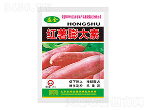 �t�������-ʢ��-ʥ��ʘI(y��)