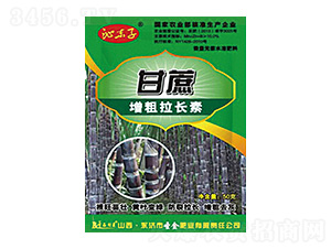 �����������L(zh��ng)���ߖ|��-ʥ��ʘI(y��)