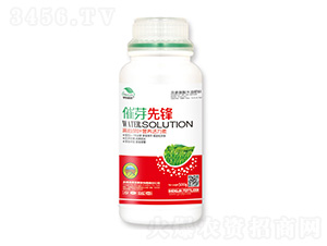 �߶˲��~�I�B(y��ng)������-��ѿ���h-��|ֲ��-ʥ��ʘI(y��)