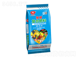 �ߝ�ȼ�����⛏ͺϷ���22-9-9-ԥ�Z�ʘI(y��)