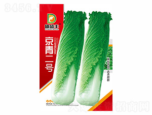 �����̖-��ʢ�S