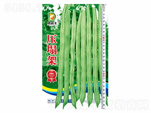 ������-��ʢ�S