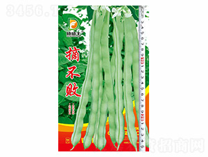 ժ����-��ʢ�S