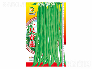 һ����ɏ-��ʢ�S