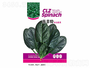 ������-��ʢ�S