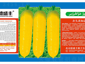 �R�^�S����-��ʢ�S