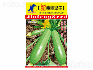 ���������-�x�S-��ʢ�S