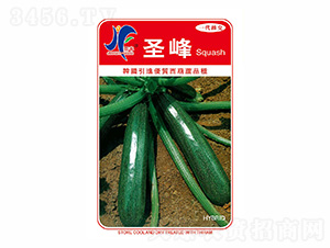 ʥ��-�x�S-��ʢ�S