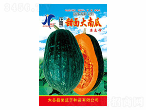 ����������Ϲ�-�x�S-��ʢ�S