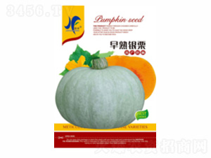 �����y��-�x�S-��ʢ�S