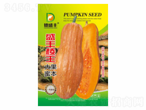 ʢ�S����-��ʢ�S