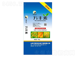 40kg�f(w��n)�S��-�f(w��n)���S