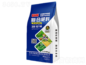 ���׌��Ï�(f��)�Ϸ���28-12-10-���ɶŰ�-��˹��