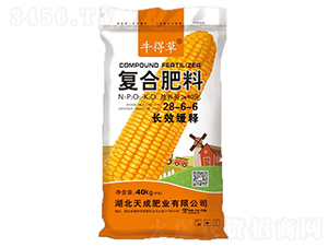 �LЧ��ጏ�(f��)�Ϸ���28-6-6-ţ�ò�-��˹��