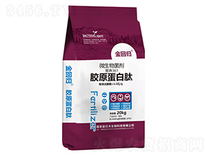 �zԭ������΢�������-��ؚw-���|�S