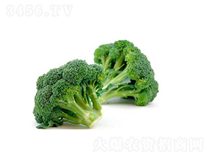 �̷�-���{(l��n)���N��-���r(n��ng)�r(n��ng)�I(y��)