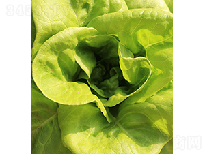 ��������-���˷N��-���r(n��ng)�r(n��ng)�I(y��)