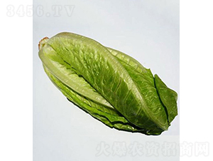 Avidius��41-21��-���˷N��-���r(n��ng)�r(n��ng)�I(y��)