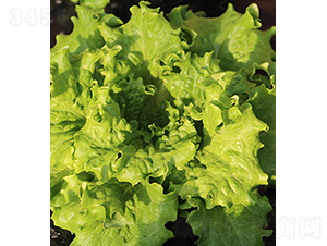 ������-���˷N��-���r(n��ng)�r(n��ng)�I(y��)