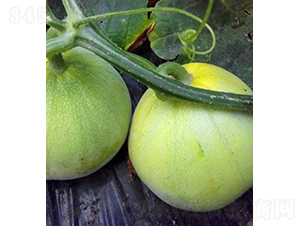 �������-��˷N��-���r(n��ng)�r(n��ng)�I(y��)