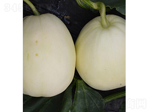 �������-��˷N��-���r(n��ng)�r(n��ng)�I(y��)