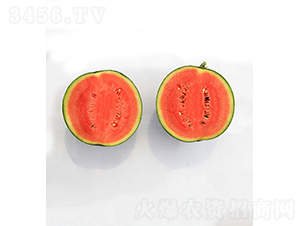 ���r(n��ng)��Ʒ3̖-���ϷN��-���r(n��ng)�r(n��ng)�I(y��)