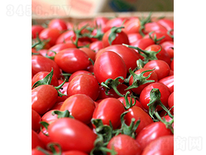 ���r(n��ng)���2̖-С���ѷN��-���r(n��ng)�r(n��ng)�I(y��)