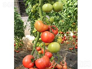 ���r(n��ng)����802-���ѷN��-���r(n��ng)�r(n��ng)�I(y��)