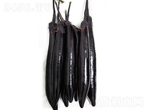 10-602-���ӷN��-���r(n��ng)�r(n��ng)�I(y��)