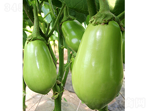 ���r(n��ng)�G��4̖(h��o)-���ӷN��-���r(n��ng)�r(n��ng)�I(y��)