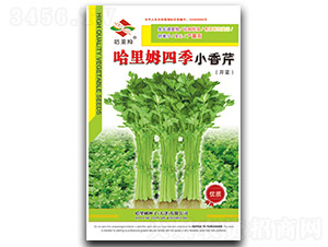 �ļ�С����-�۲˷N��-����ķ