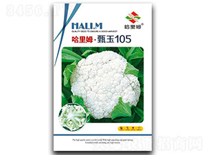 ����105�˻�-�˻��N��-����ķ