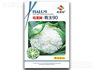 ����90�˻�-�˻��N��-����ķ