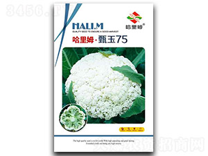 ����75�˻�-�˻��N��-����ķ