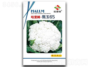 ����65�˻�-�˻��N��-����ķ