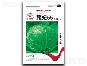 ����55-���{�N��-����ķ