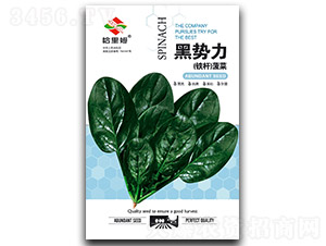 �ڄ�������-���˷N��-����ķ