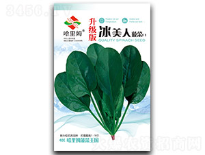 ����(j��)�������-���˷N��-����ķ