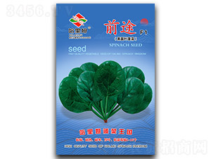 ǰ;-���˷N��-����ķ