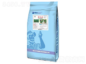 �����S���B(t��i)�����ޏ�-�A�r���H