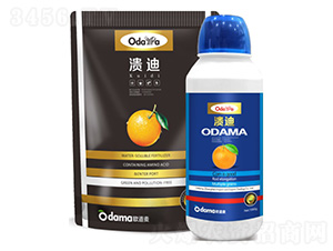 ����-�W����