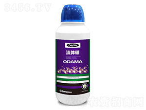 ���w��-�W����