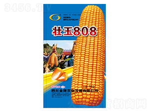 ���׷N��-����808-�����r(n��ng)�I(y��)