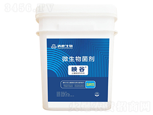 ӳ���������������-��¹����