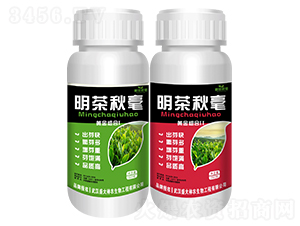 �������-ʢ������